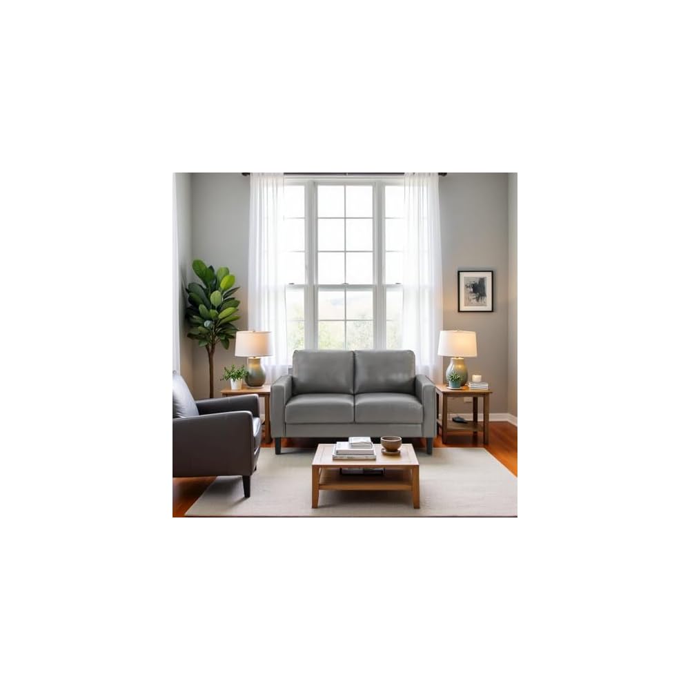 Furnifact Gray Faux Leather Loveseat, Modern 2 Seater Sofa for Living Room, Stylish Faux Upholstery for Office or Compact Living Spaces